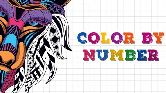 Play Color By Number game